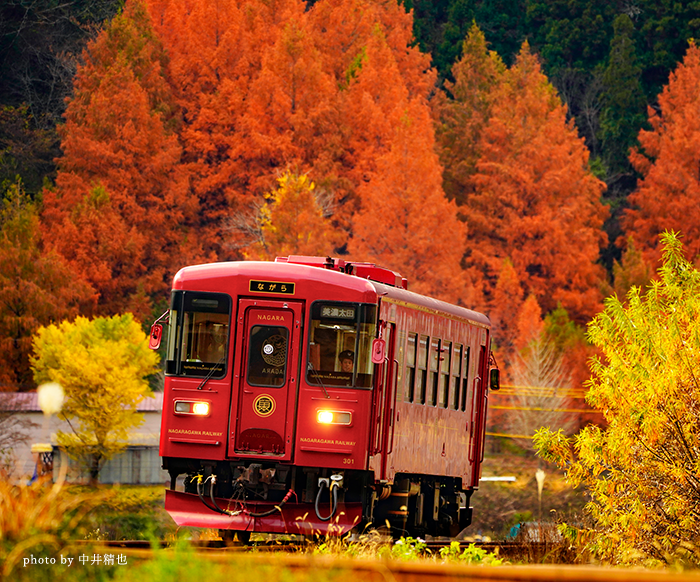 観光列車「ながら」