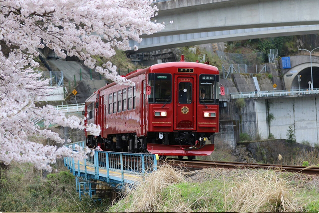 No.153　満開の桜の中を走る”ながら”