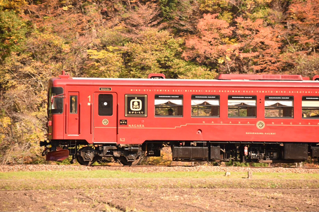 No.476　紅葉をバックに走る「ながら」