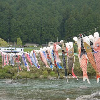 ﾌｫﾄｺﾝﾃｽﾄNo.13　長良川鉄道を眺める鯉の群れ