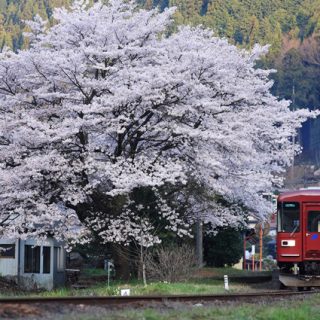 No.018　My Favorite深戸駅