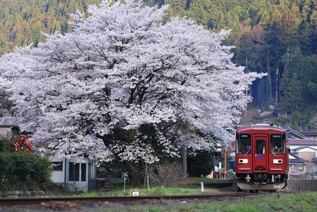 No.018　My Favorite深戸駅