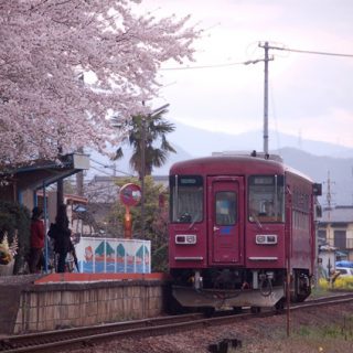 No.020　加茂野の春