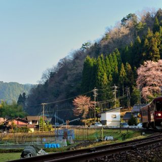 No.023　里山の春を行く