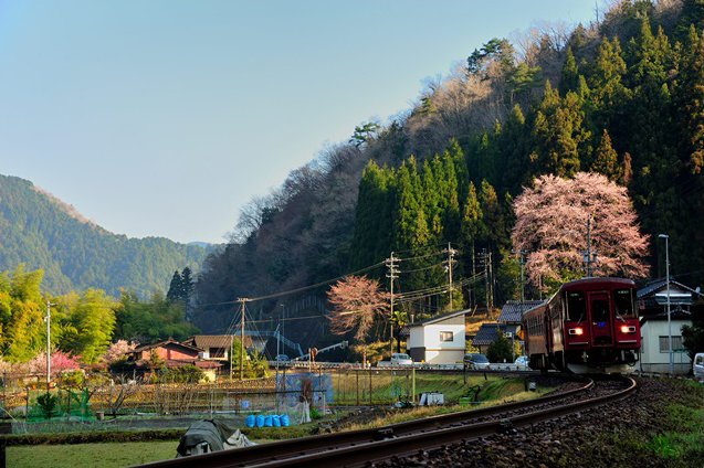 No.023　里山の春を行く