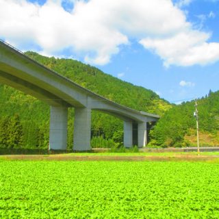 No.044　清流列車から見えた秋