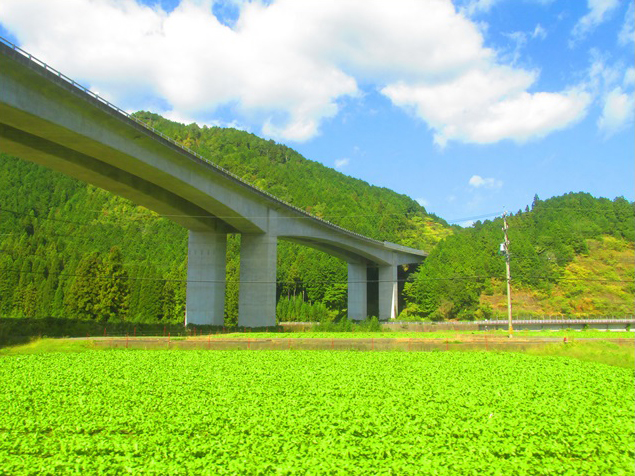 No.044　清流列車から見えた秋