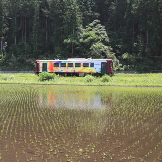 No.092　田植えの後