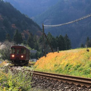 No.107　晩秋の輝き