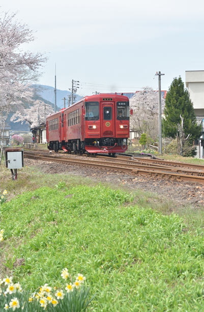 No.129　観光列車「ながら」春の中を行く。1