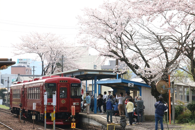 No.139　長良川鉄道ながらと桜と共に2
