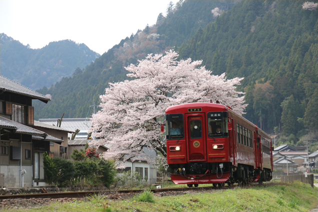 No.143　長良川鉄道深戸駅の桜と共に