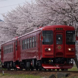 No.149　桜の中を駆ける「ながら」