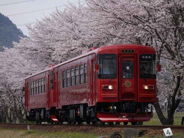 No.149　桜の中を駆ける「ながら」