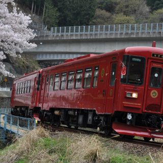 No.161　ローカルから全国へ