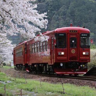 No.162　夢をのせて