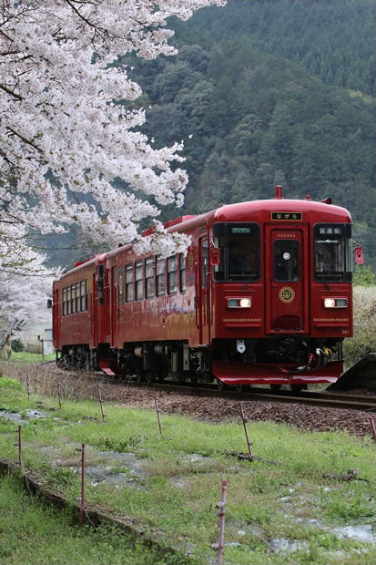 No.162　夢をのせて