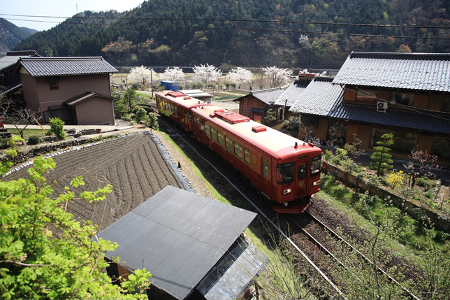 No.184　おめでとう♪