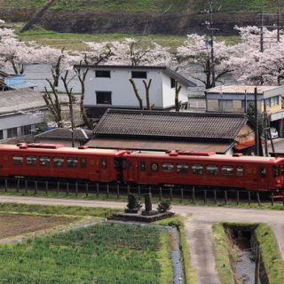 No.185　「ながら」深戸駅通過中♪