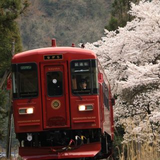 No.186　花咲くながら