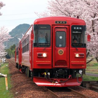 No.187　満開の桜が、門出を祝う。