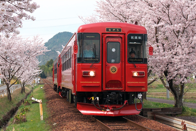 No.187　満開の桜が、門出を祝う。