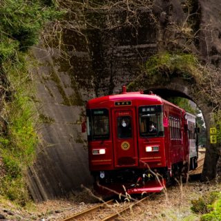 No.190　満開桜と観光列車「ながら」3