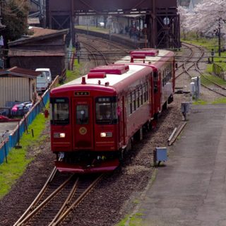 No.191　満開桜と観光列車「ながら」4
