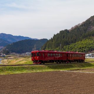 No.194　満開桜と観光列車「ながら」7