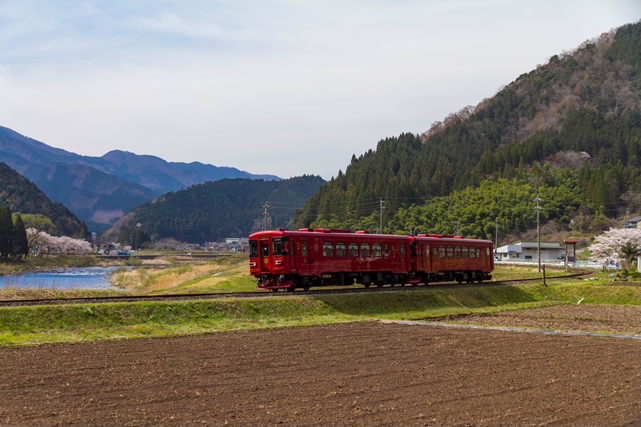 No.194　満開桜と観光列車「ながら」7