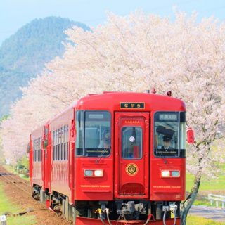 No.380　春うらら