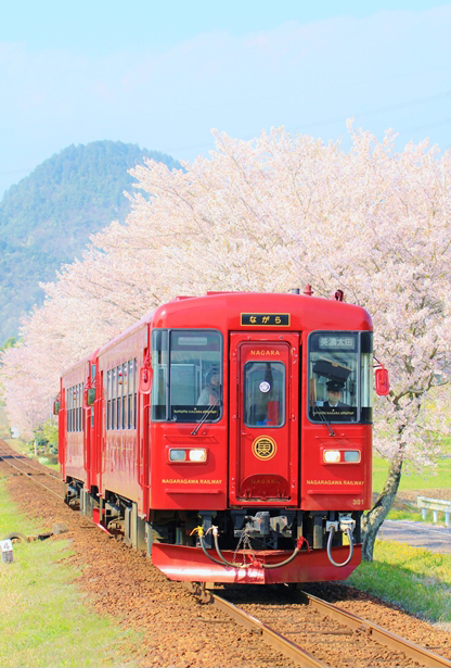 No.380　春うらら