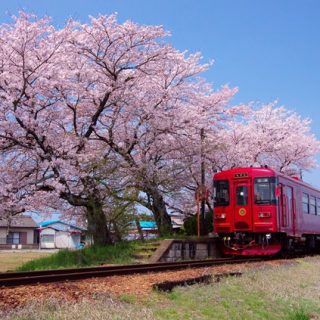 No.381　春を往く