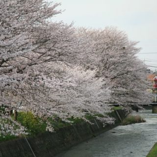 No.382　街の路地裏から・・・