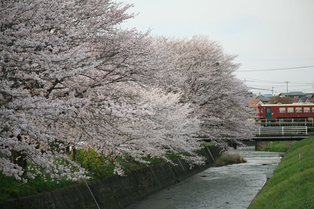 No.382　街の路地裏から・・・