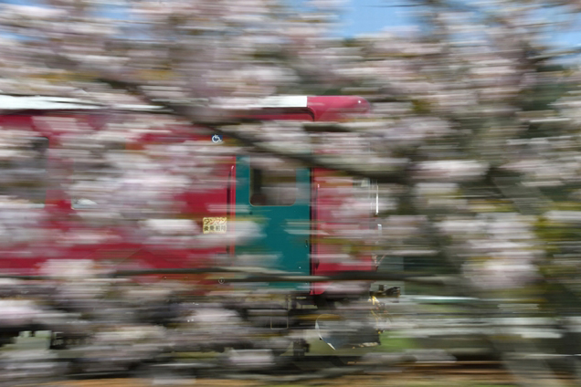 No.387　桜流し
