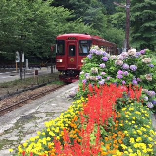 No.399　映える列車