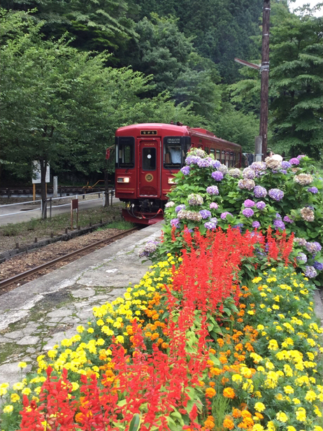 No.399　映える列車