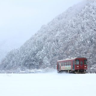 No.409　雪原を行く