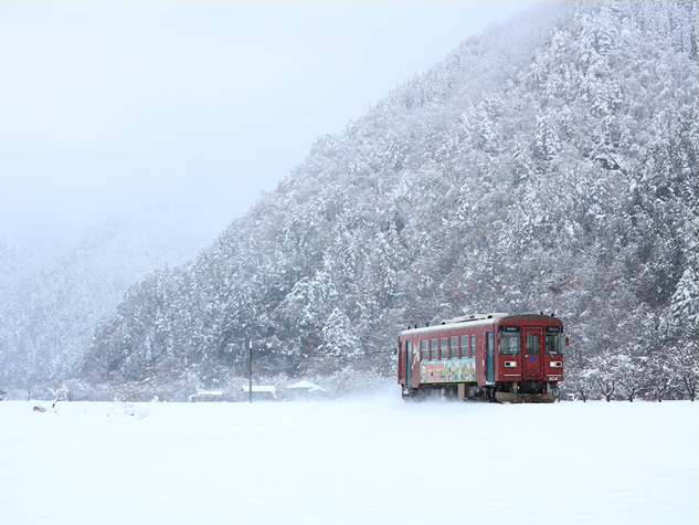 No.409　雪原を行く
