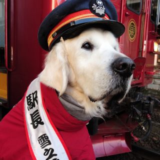 No.412　かわいい駅長さん