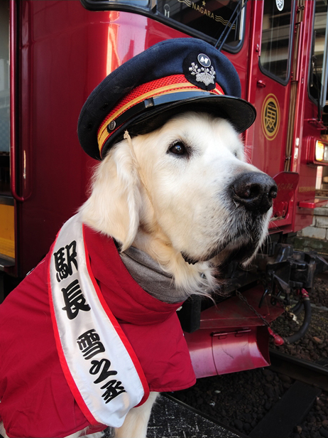 No.412　かわいい駅長さん
