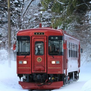 No.415　雪に映えるロイヤルレッド