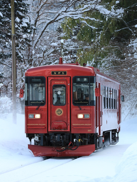 No.415　雪に映えるロイヤルレッド