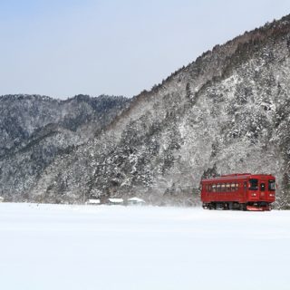 No.418　白き世界をトコトコと