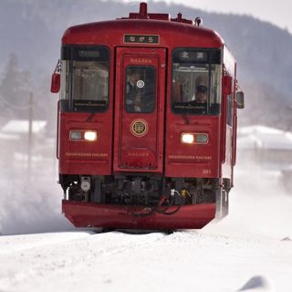 No.420　白銀世界に紅一点
