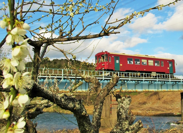 No.421　花(梅)と長鉄