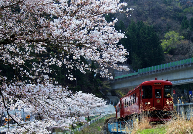 No.432　ながら一号
