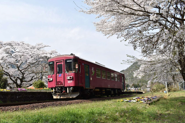 No.433　春爛漫の駅