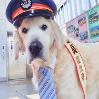 No.439　駅長さん